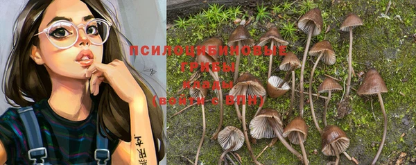 марихуана Богородицк
