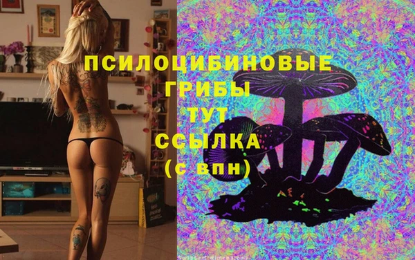 амфетамин Богородск